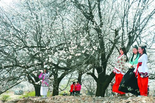 亚特兰大直播在线观看 高清足球赛事